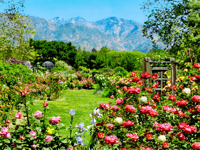 Descanso Gardens