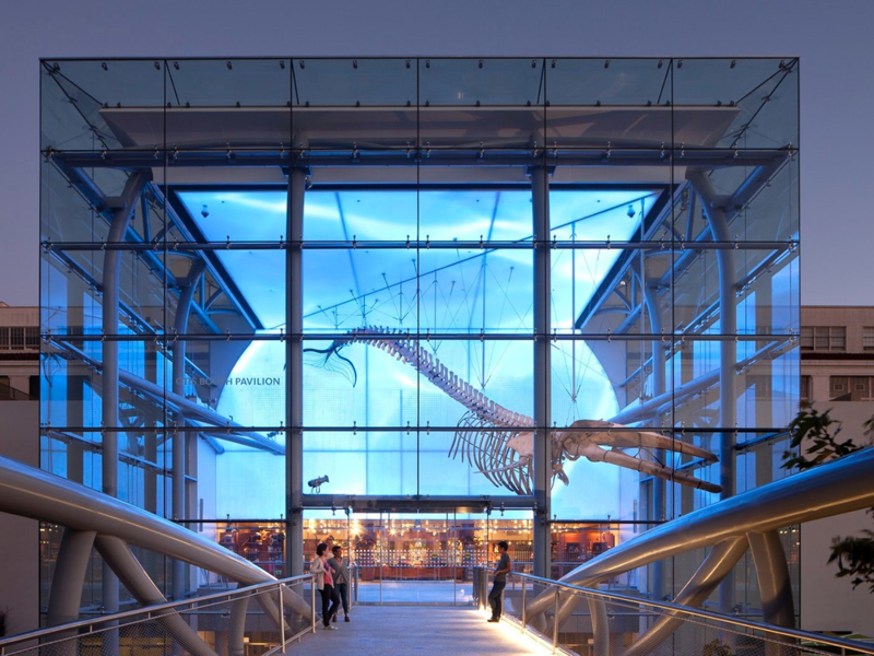 Natural History Museum of Los Angeles County
